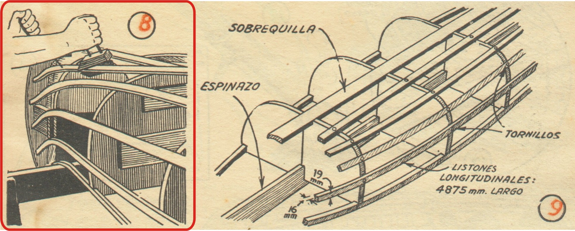 Figura 8