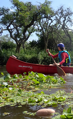 Foto de portada de proxima travesia