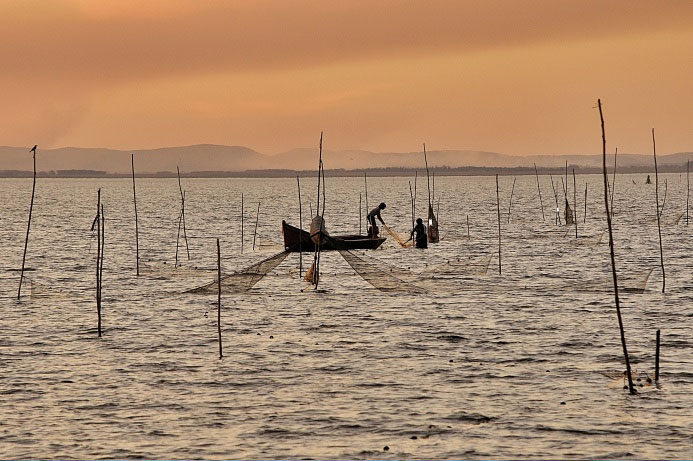 camarones