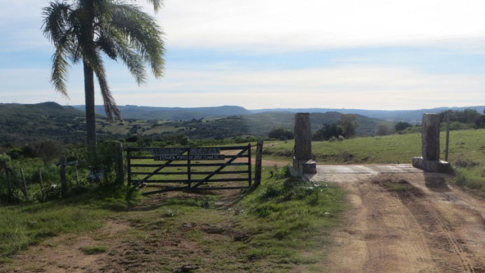 Entrada