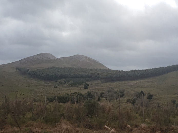 Algunos cerros