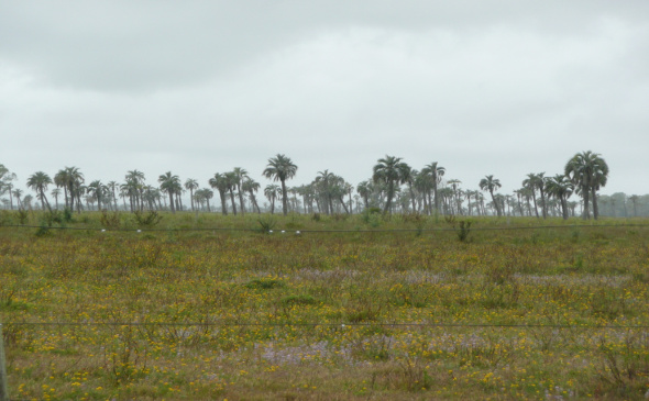 barrancas-ruta5