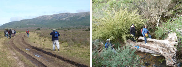 pozos azules